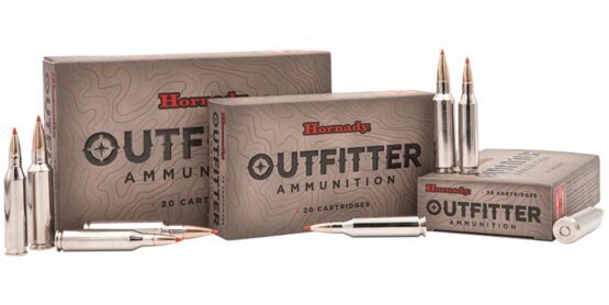 Büchsenpatronen, Hornady, Outfitter, Kal. .300 WSM, 180 GR CX OTF