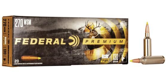 Munition, Federal, NOSLER® BALLISTIC TIP®, V-Shok, cal. .243 Win, 70 GR