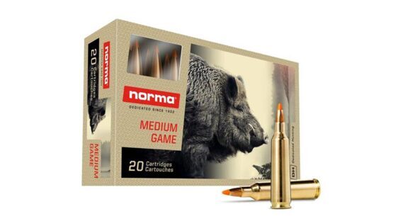 Büchsenpatronen, Norma, .22 - 250 Rem. Tipstrike Varmint 3,5g/54gr