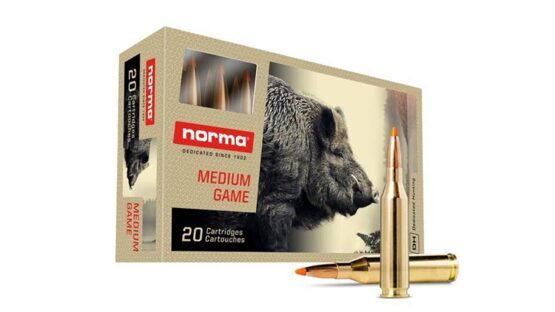 Büchsenpatronen, Norma, .243 Win. Tipstrike Varmint 4,9g