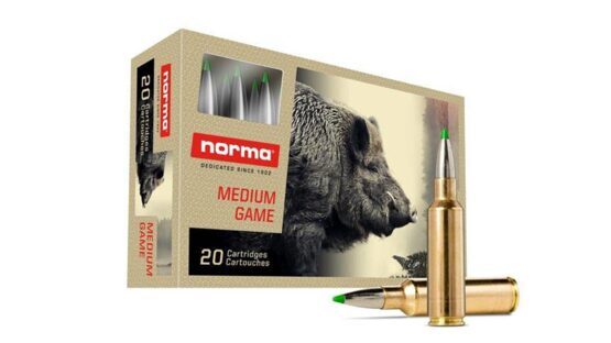 Büchsenpatronen, Norma, .300 WSM Ecostrike 9,7g