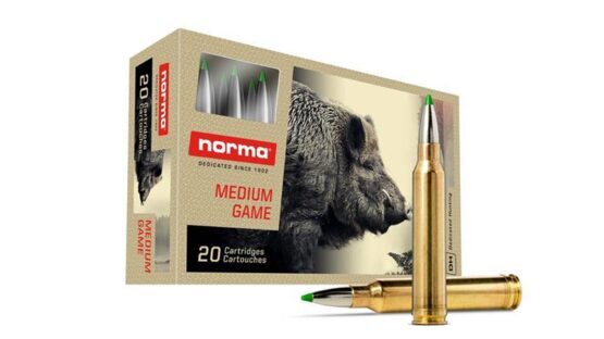 Büchsenpatronen, Norma, .300 Win. Mag. Ecostrike 9,7g