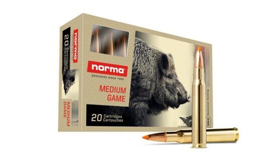 Büchsenpatronen, Norma, .30-06 Tipstrike 11,0g/170gr