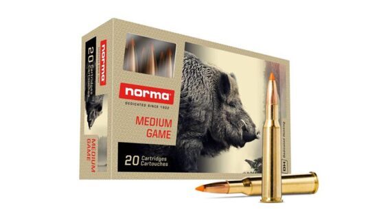 Büchsenpatronen, Norma, .300 Win. Mag. Tipstrike 11,0g/170gr