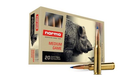 Büchsenpatronen, Norma, .308 Win. Bondstrike Extreme 11,7g