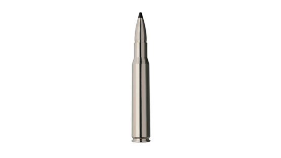 Jagdpatronen, RWS, .30-06 SPEED TIP PRO Short Rifle 10,7g