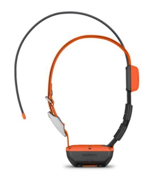 GPS Hundehalsband, Alpha® T 20 K